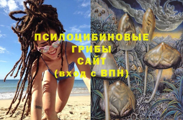 скорость Алексин